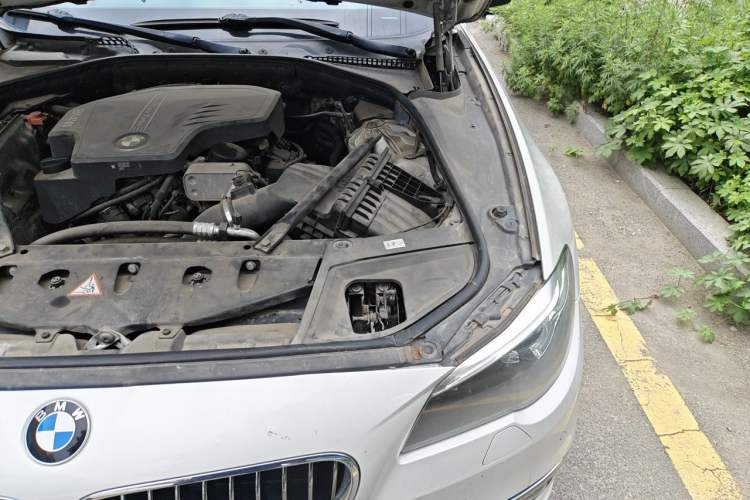 Used BMW 5 Series 2017 520Li Elegant Edition Engine Bay Left