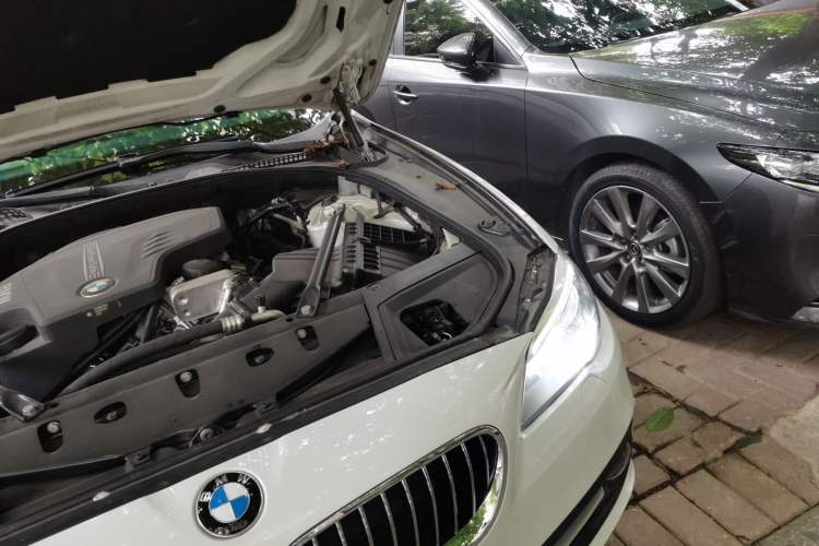 Used BMW 5 Series 2017 520Li Elegant Edition Engine Bay Left