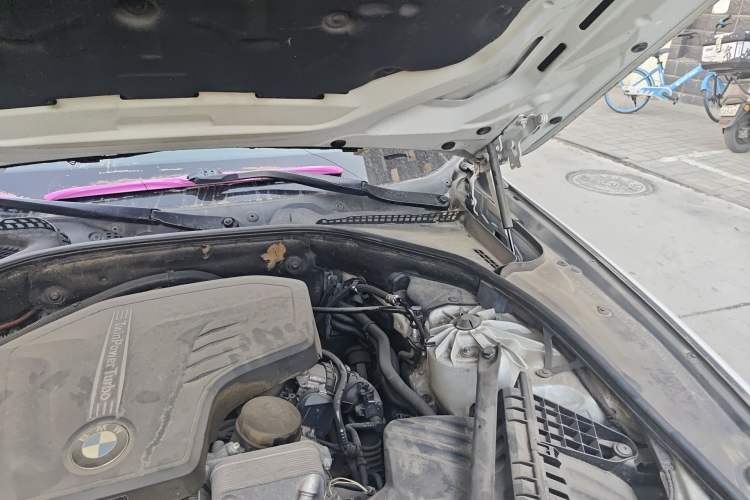 Used BMW 5 Series 2017 520Li Elegant Edition Engine Bay Left