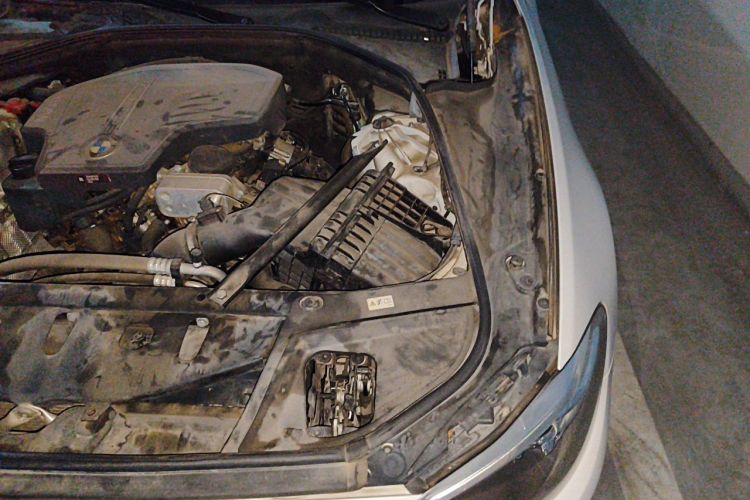 Used BMW 5 Series 2017 520Li Elegant Edition Engine Bay Left