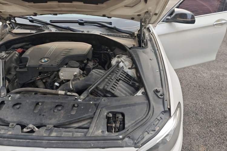 Used BMW 5 Series 2017 525Li Luxury Design Package Engine Bay Left