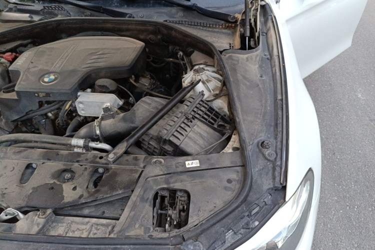 Used BMW 5 Series 2017 528Li Leading Model Engine Bay Left