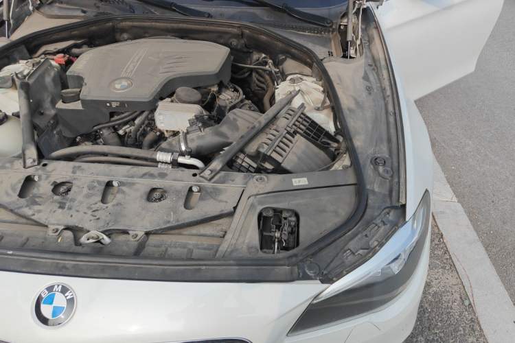 Used BMW 5 Series 2017 525Li Leading Model Engine Bay Left
