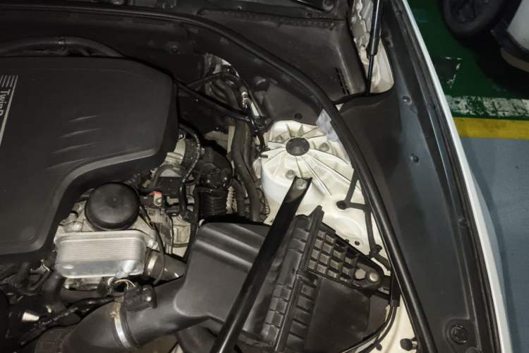 Used BMW 5 Series 2017 525Li Luxury Design Package Engine Bay Left
