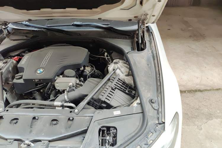 Used BMW 5 Series 2017 520Li Elegant Edition Engine Bay Left