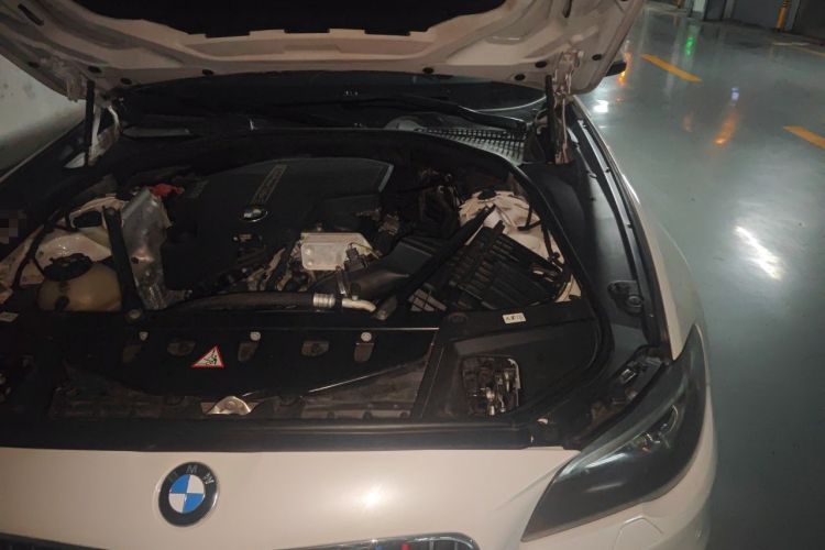 Used BMW 5 Series 2017 520Li Elegant Edition Engine Bay Left