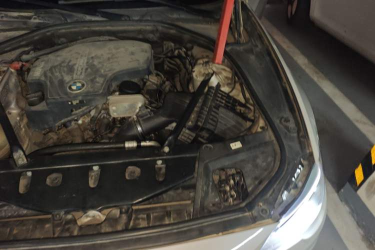 Used BMW 5 Series 2017 528Li Leading Model Engine Bay Left