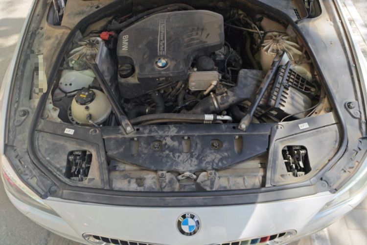 Used BMW 5 Series 2017 520Li Elegant Edition Engine Bay