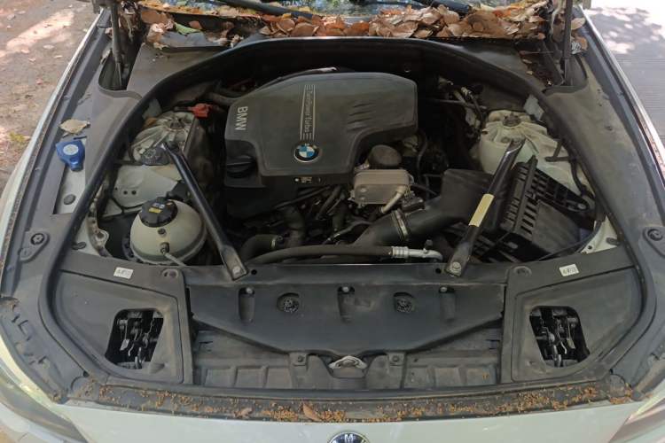 Used BMW 5 Series 2017 520Li Elegant Edition Engine Bay