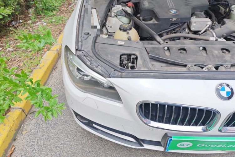 Used BMW 5 Series 2017 525Li Leading Model Engine Bay Right