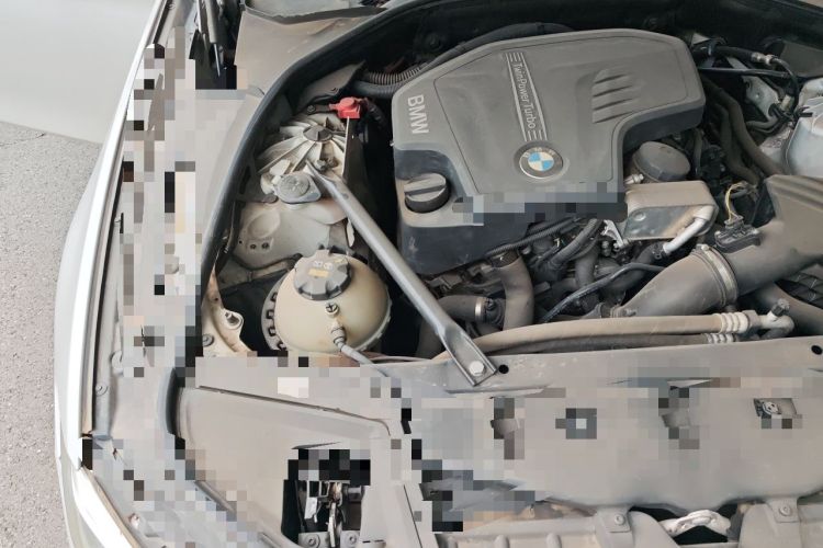 Used BMW 5 Series 2017 520Li Elegant Edition Engine Bay Right