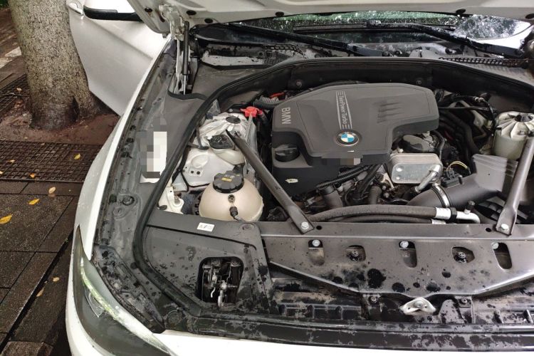 Used BMW 5 Series 2017 525Li Luxury Design Package Engine Bay Right