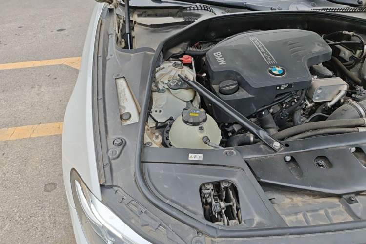Used BMW 5 Series 2017 525Li Leading Model Engine Bay Right