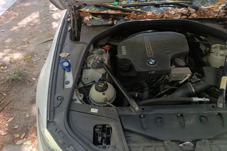 Used BMW 5 Series 2017 520Li Elegant Edition Engine Bay Right