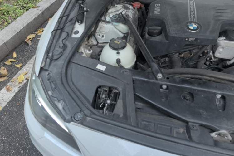Used BMW 5 Series 2017 525Li Luxury Design Package Engine Bay Right