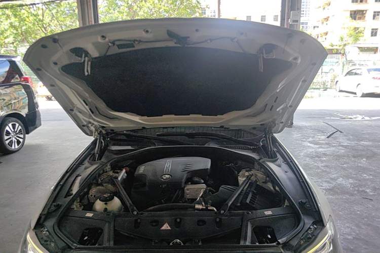 Used BMW 5 Series 2017 525Li Leading Model Engine Bay