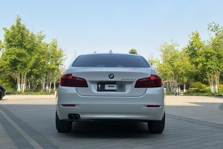 Used BMW 5 Series 2017 525Li Leading Model Exterior 4