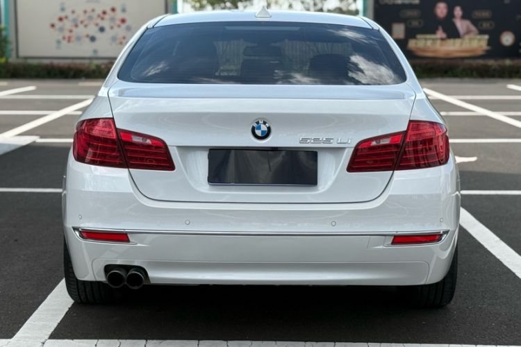 Used BMW 5 Series 2017 525Li Luxury Design Package Exterior 5
