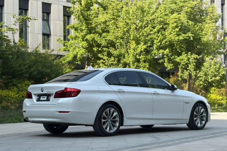 Used BMW 5 Series 2017 525Li Leading Model Exterior 5