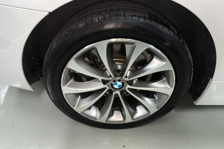 Used BMW 5 Series 2017 528Li Leading Model Exterior 5