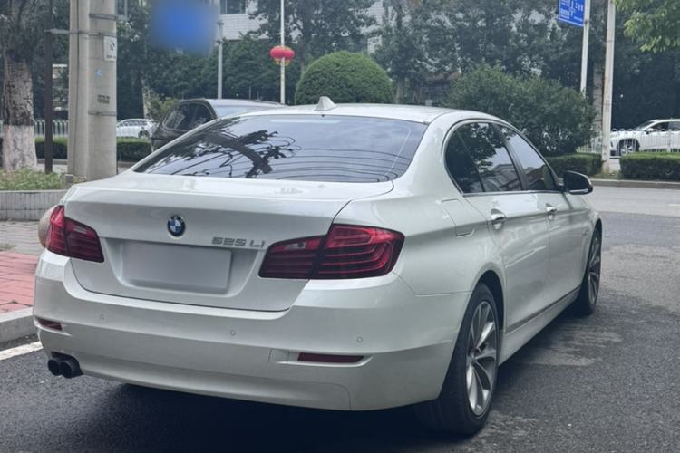 Used BMW 5 Series 2017 525Li Leading Model Exterior 6
