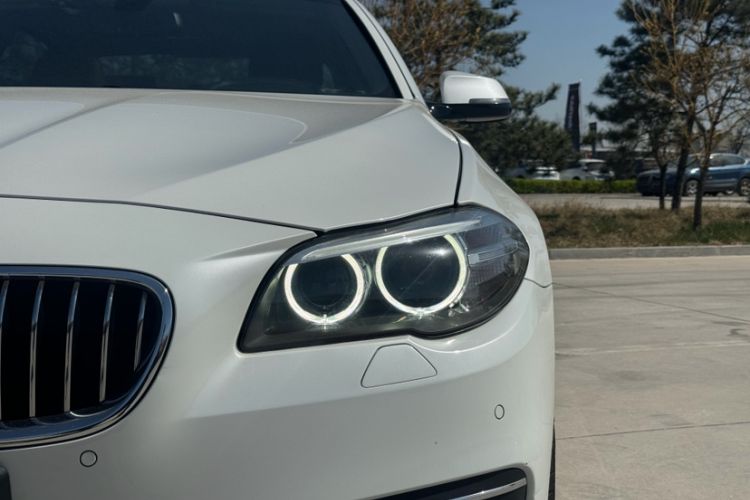 Used BMW 5 Series 2017 525Li Luxury Design Package Exterior 7