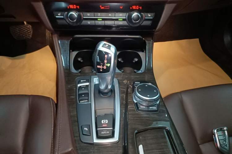 Used BMW 5 Series 2017 525Li Luxury Design Package Gear Lever