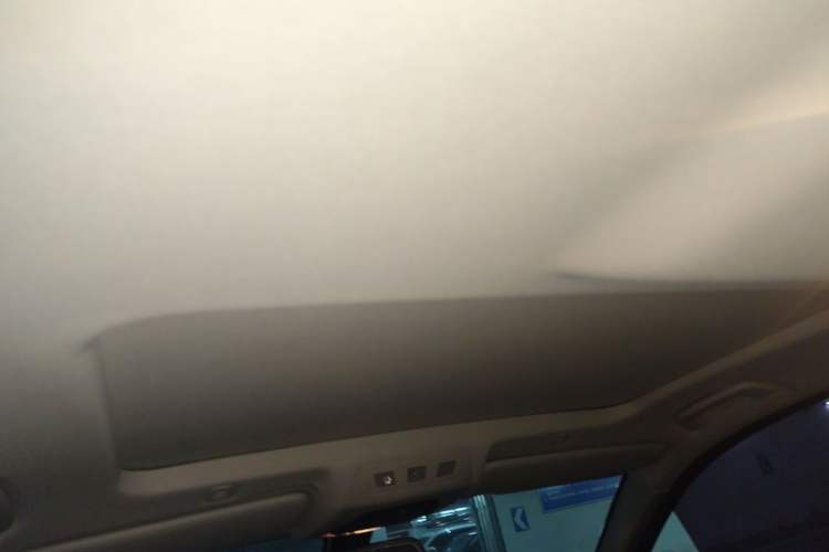 Used BMW 5 Series 2017 525Li Luxury Design Package Headliner