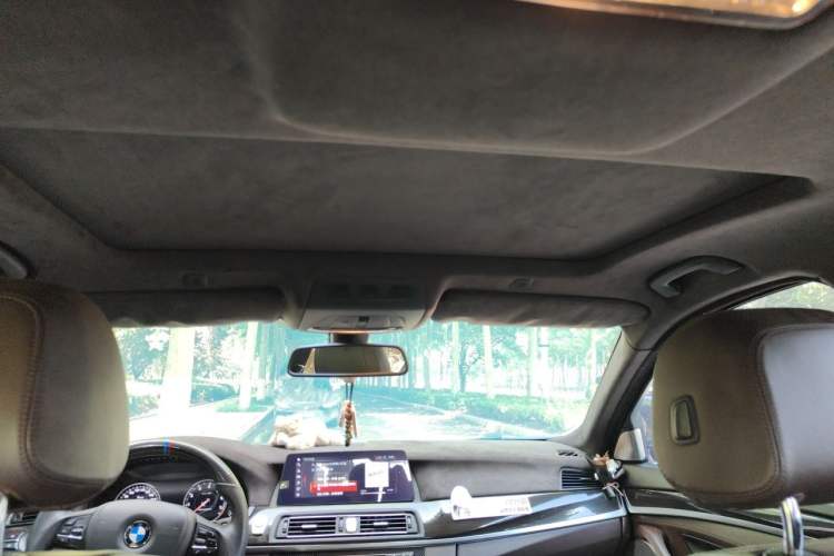 Used BMW 5 Series 2017 525Li Luxury Design Package Headliner