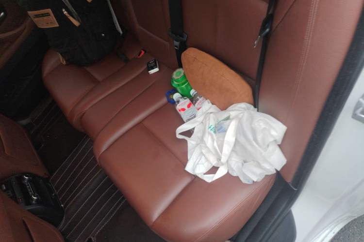 Used BMW 5 Series 2017 528Li Leading Model Left Rear Seat