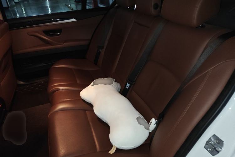 Used BMW 5 Series 2017 520Li Elegant Edition Left Rear Seat