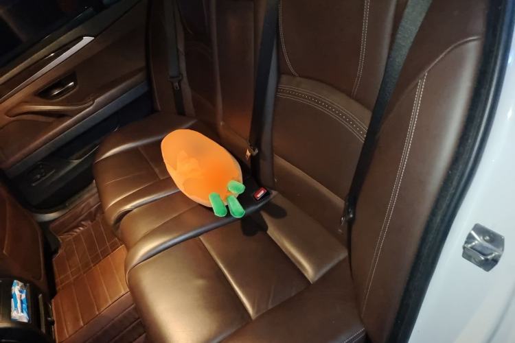 Used BMW 5 Series 2017 525Li Luxury Design Package Left Rear Seat