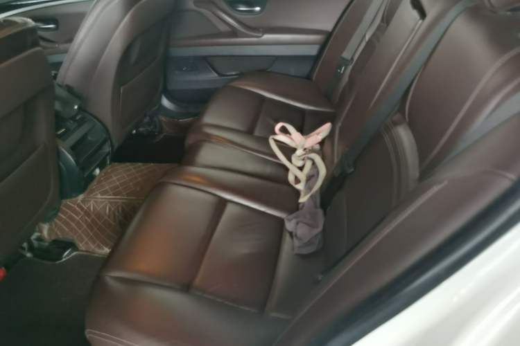Used BMW 5 Series 2017 525Li Luxury Design Package Left Rear Seat
