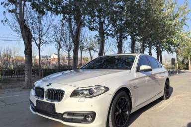 Used BMW 5 Series 2017 520Li Elegant Edition
