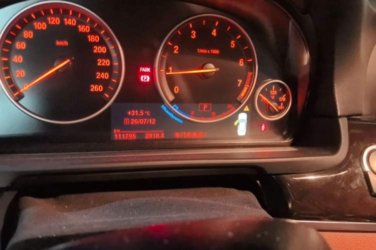 Used BMW 5 Series 2017 528Li Leading Model Odometer Close Up