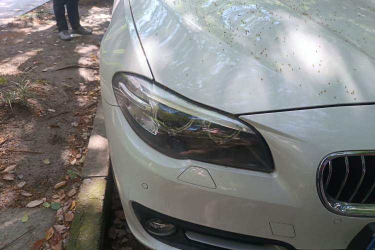 Used BMW 5 Series 2017 520Li Elegant Edition Right Front Headlight