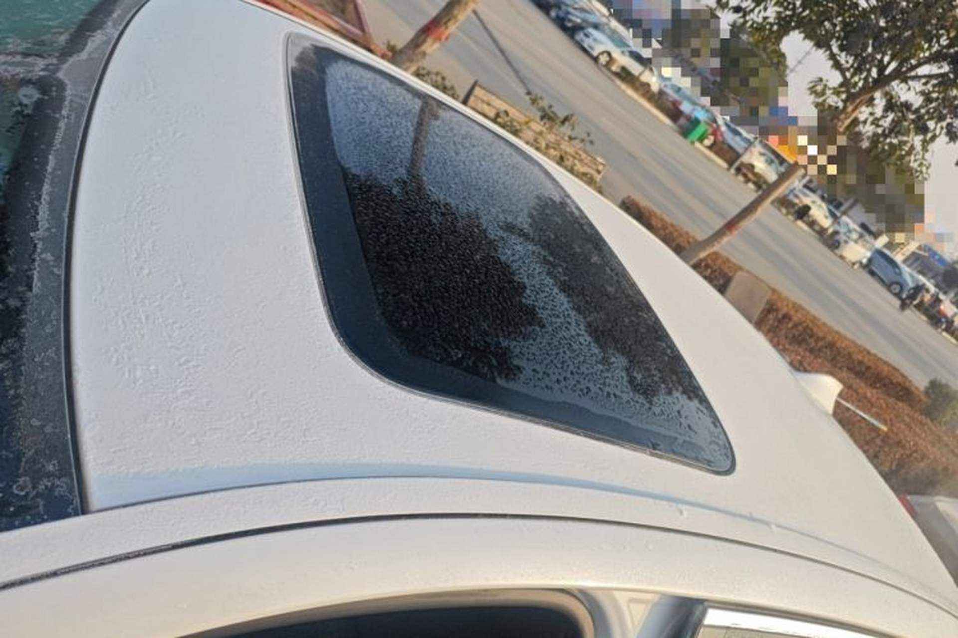 Used BMW 5 Series 2017 525Li Luxury Design Package Roof