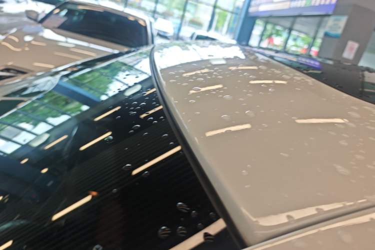 Used BMW 5 Series 2017 525Li Leading Model Roof