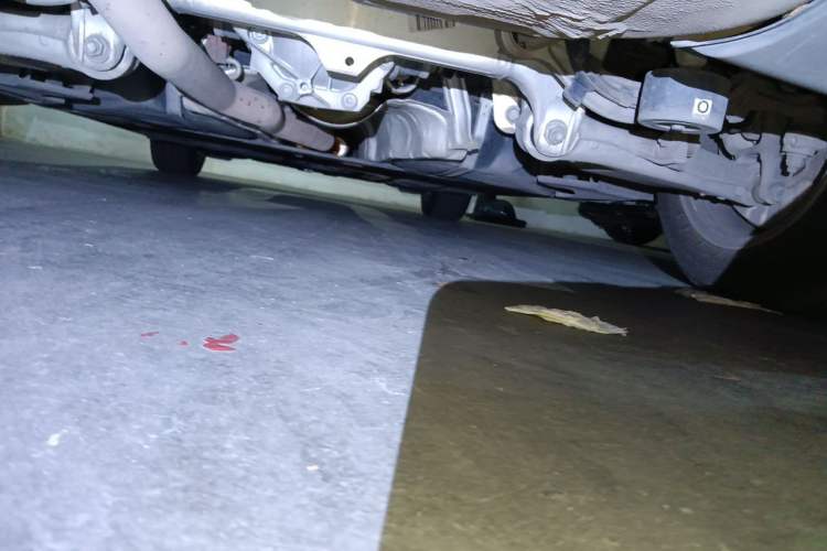 Used BMW 5 Series 2017 520Li Elegant Edition Chassis Rear
