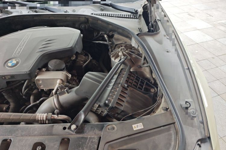 Used BMW 5 Series 2017 520Li Elegant Edition Engine Bay Left