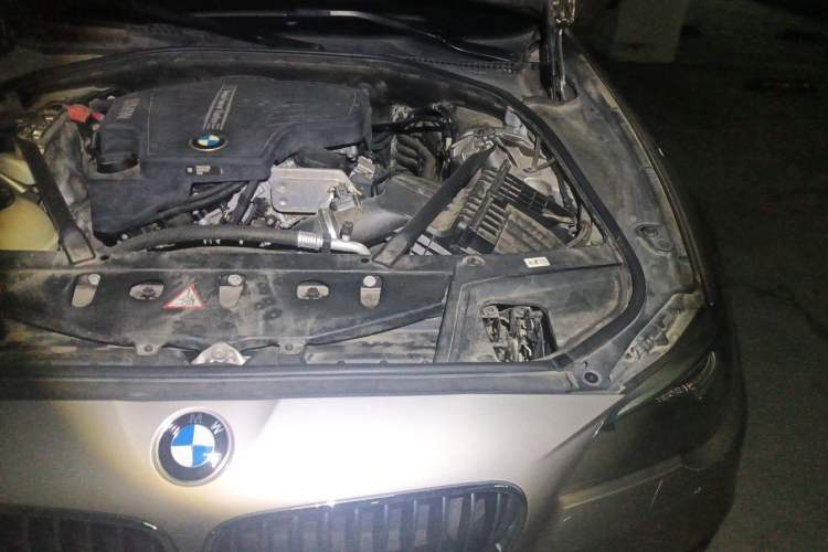 Used BMW 5 Series 2017 525Li Leading Model Engine Bay Left