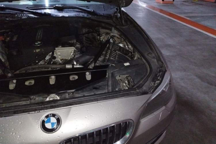 Used BMW 5 Series 2017 525Li Luxury Design Package Engine Bay Left