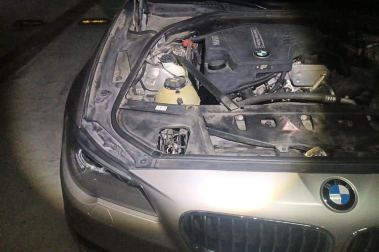 Used BMW 5 Series 2017 525Li Leading Model Engine Bay Right