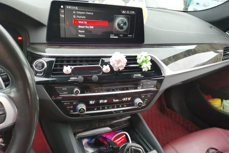 Used BMW 5 Series 2018 530Li xDrive M Sport Package Audio And AC Panel