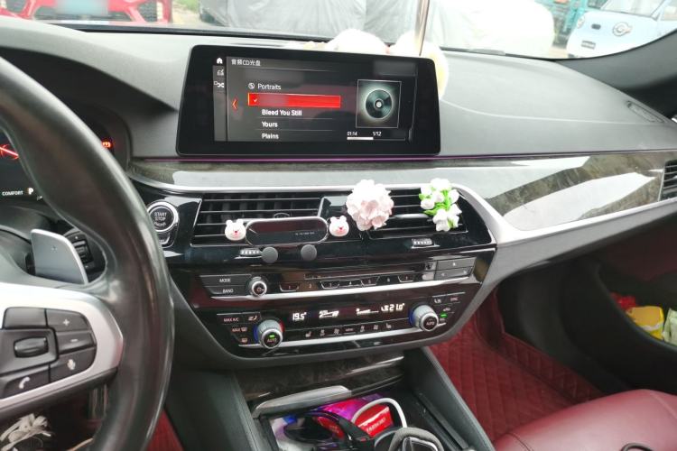 Used BMW 5 Series 2018 530Li xDrive M Sport Package Center Console