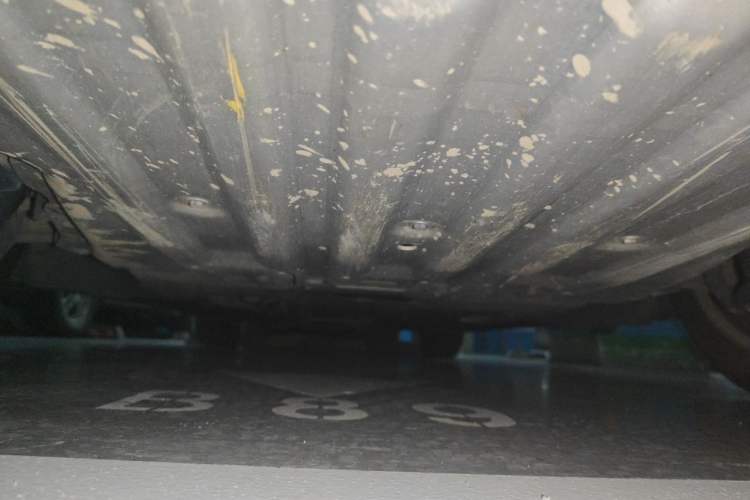 Used BMW 5 Series 2018 528Li Launch Special Edition Chassis Front