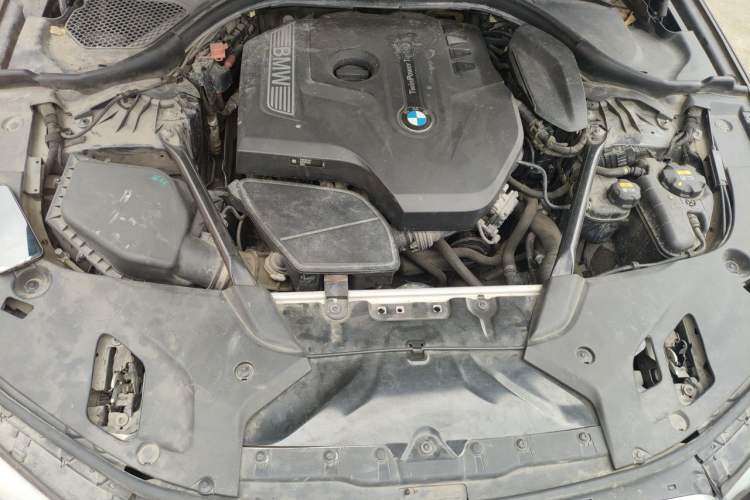 Used BMW 5 Series 2018 530Li Leading Model M Sport Package Engine Bay