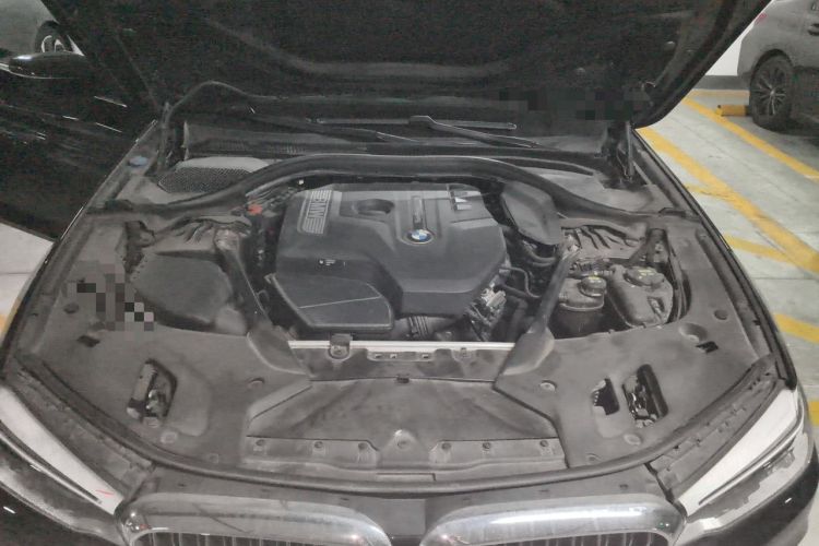 Used BMW 5 Series 2018 530Li Luxury Edition Premium Package Engine Bay