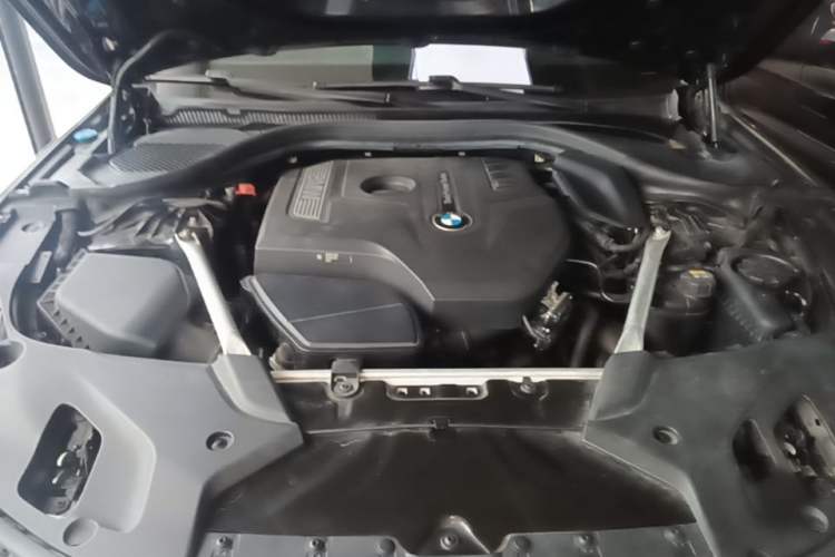 Used BMW 5 Series 2018 Facelifted 530Li xDrive M Sport Package Engine Bay
