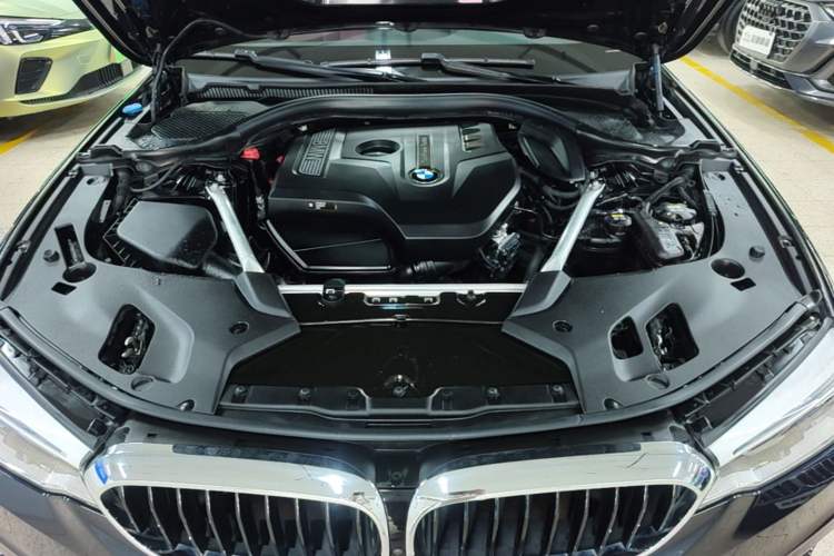 Used BMW 5 Series 2018 Restyled 530Li Luxury Edition M Sport Package Engine Bay